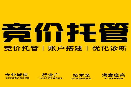 大型SEM服务公司案例分析